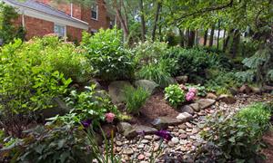 APL Sustainable Drainage System (SuDS) Garden, designed by APL General Manager Phil Tremayne: